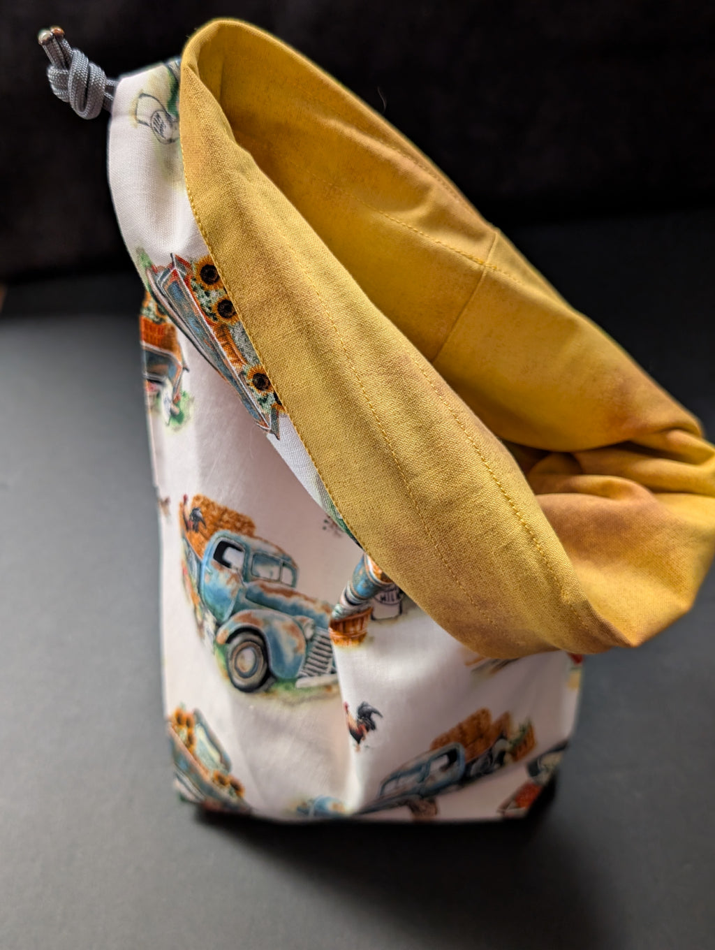 Project bag #25