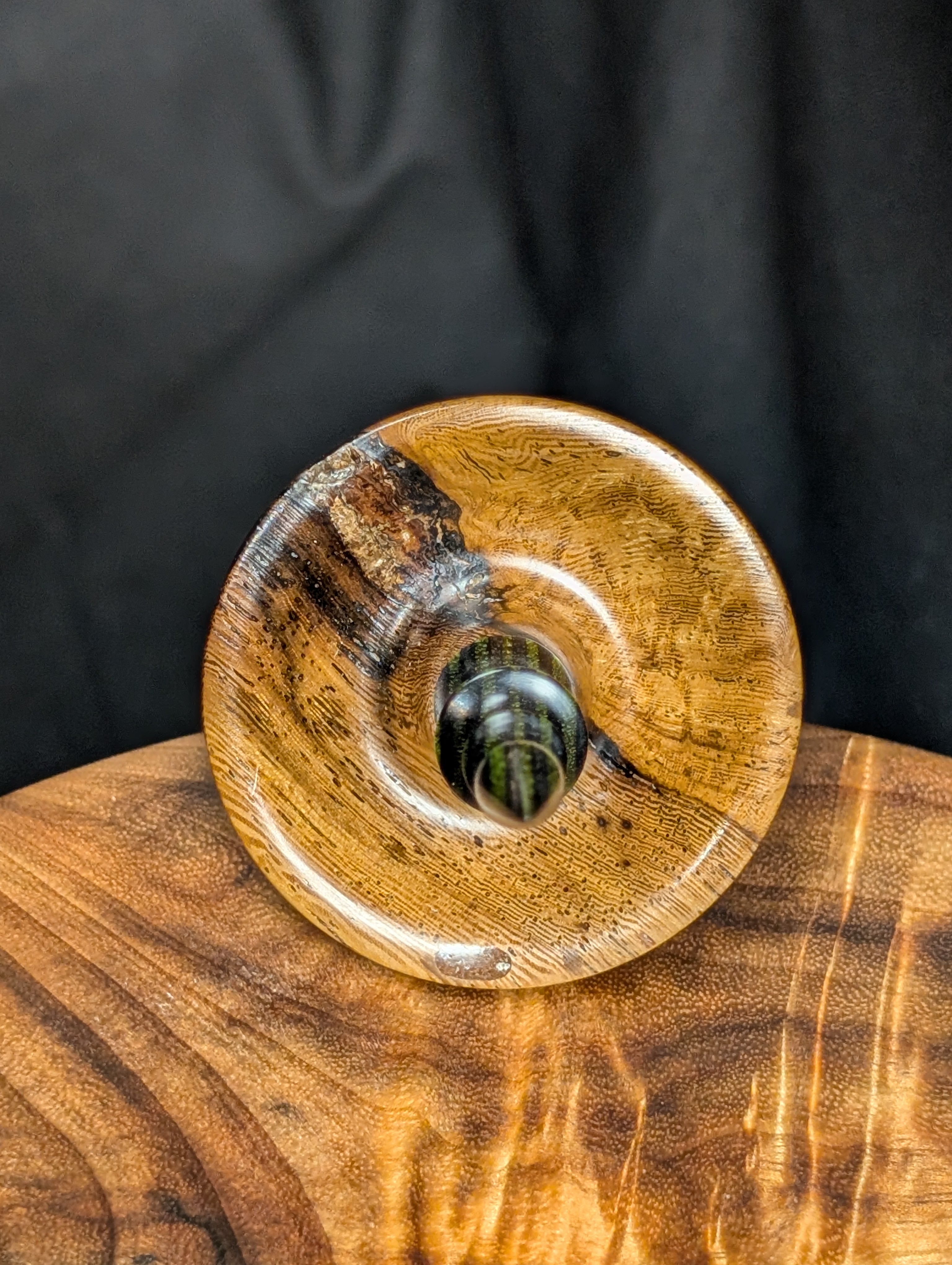 Jamaican Dogwood Tibeadan Supported Spindle