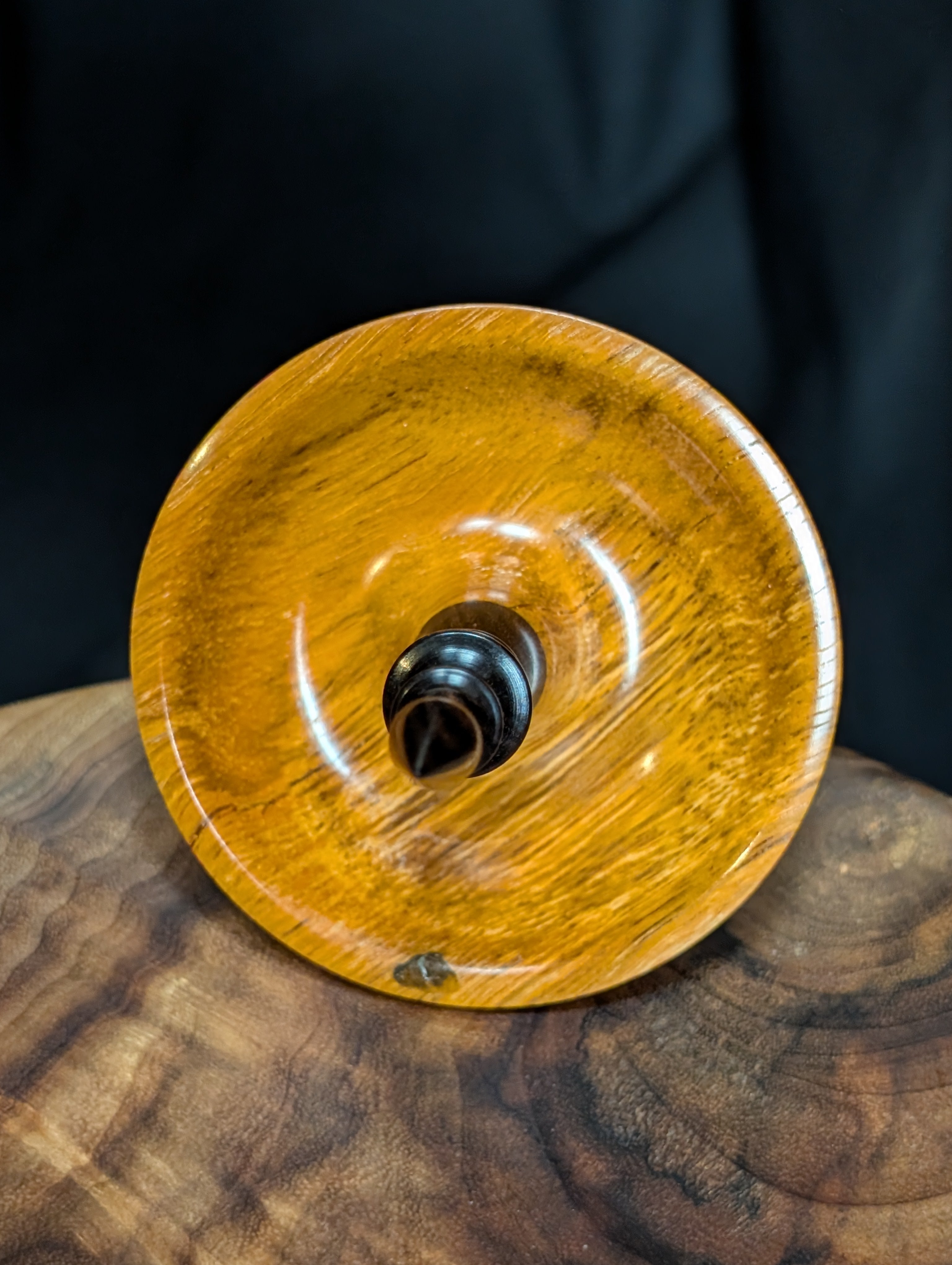 10" Spalted Tamarind Tibetan Support Spindle