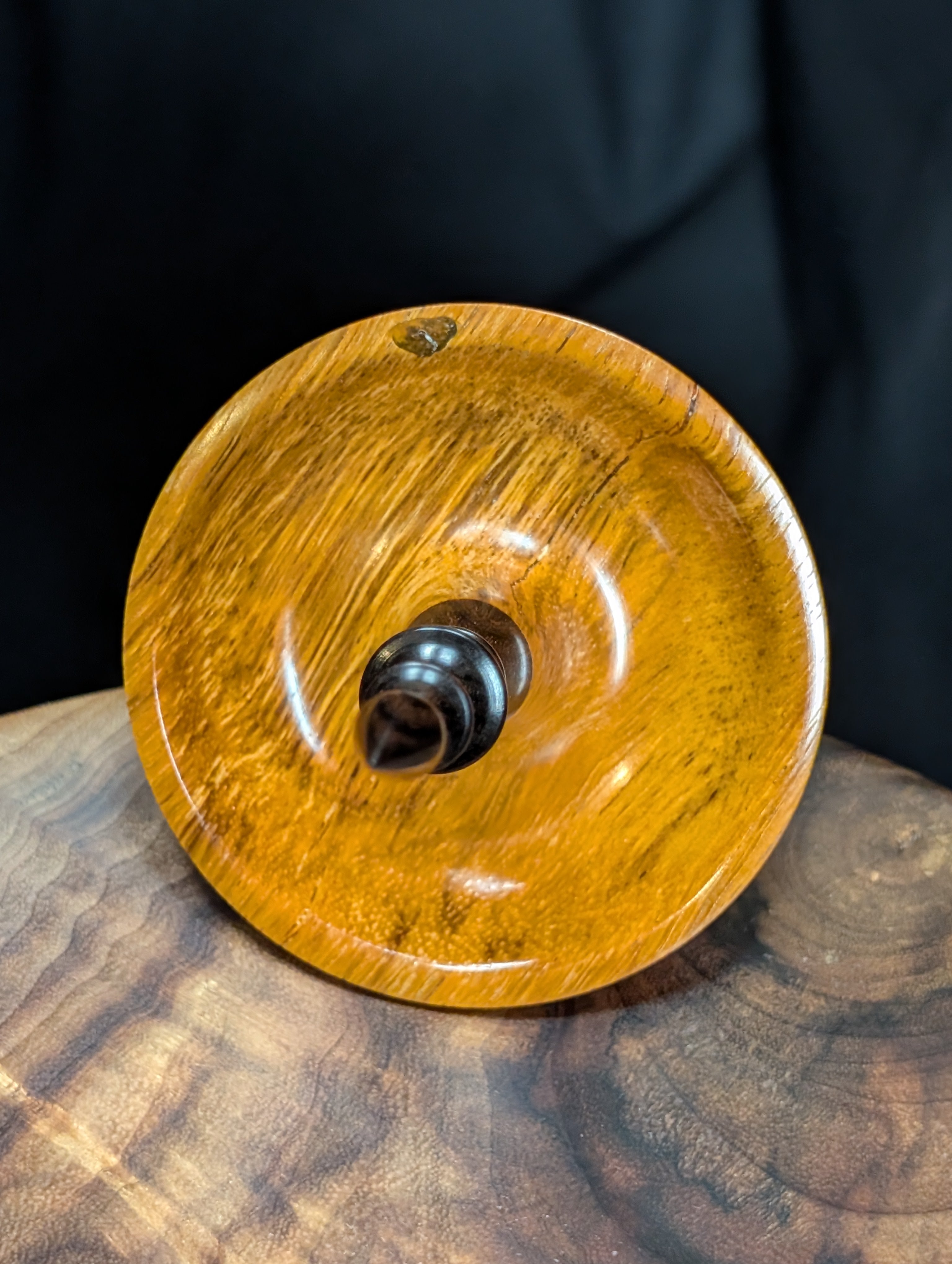 10" Spalted Tamarind Tibetan Support Spindle