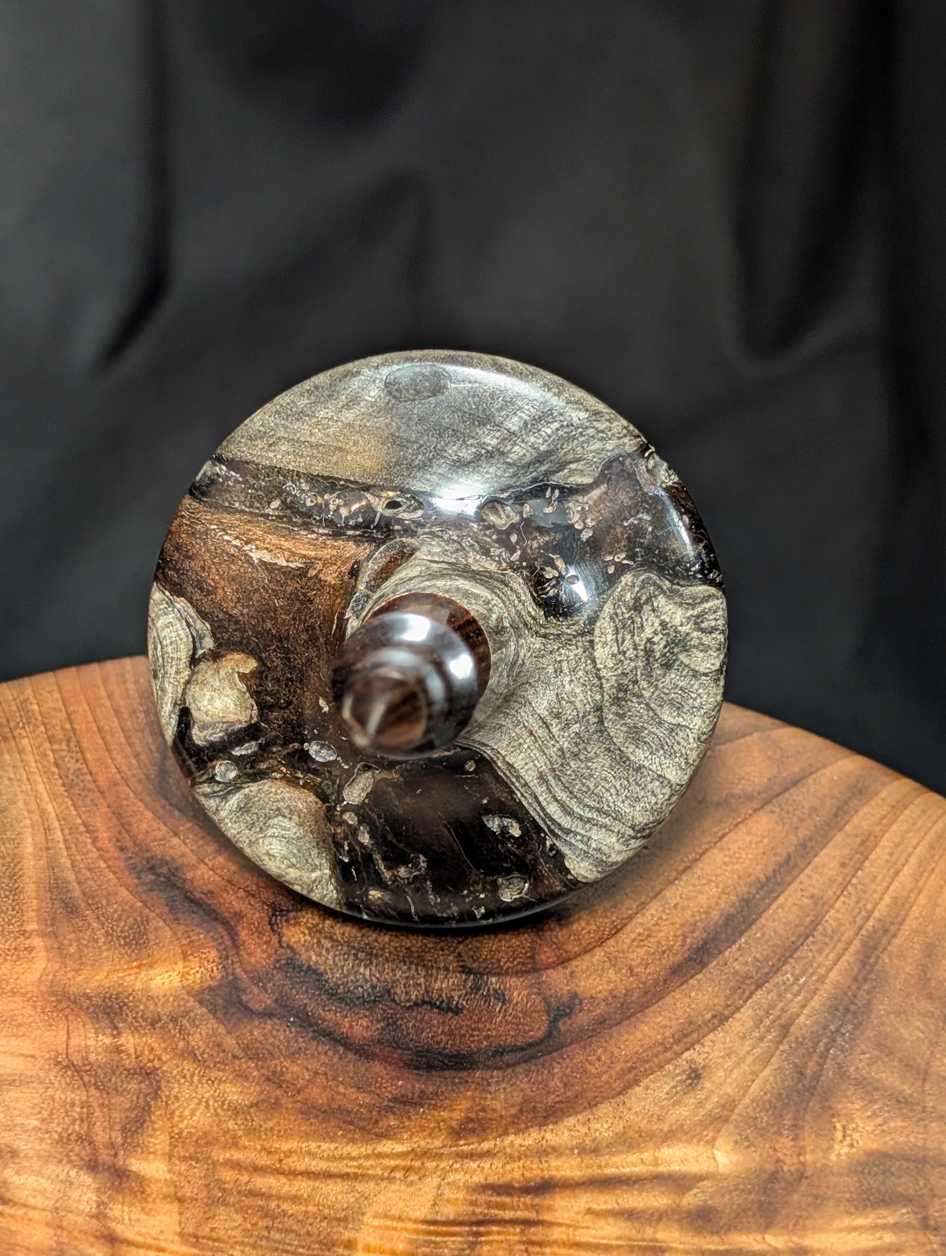 Buckeye Burl "Void" Tibetan Support Spindle