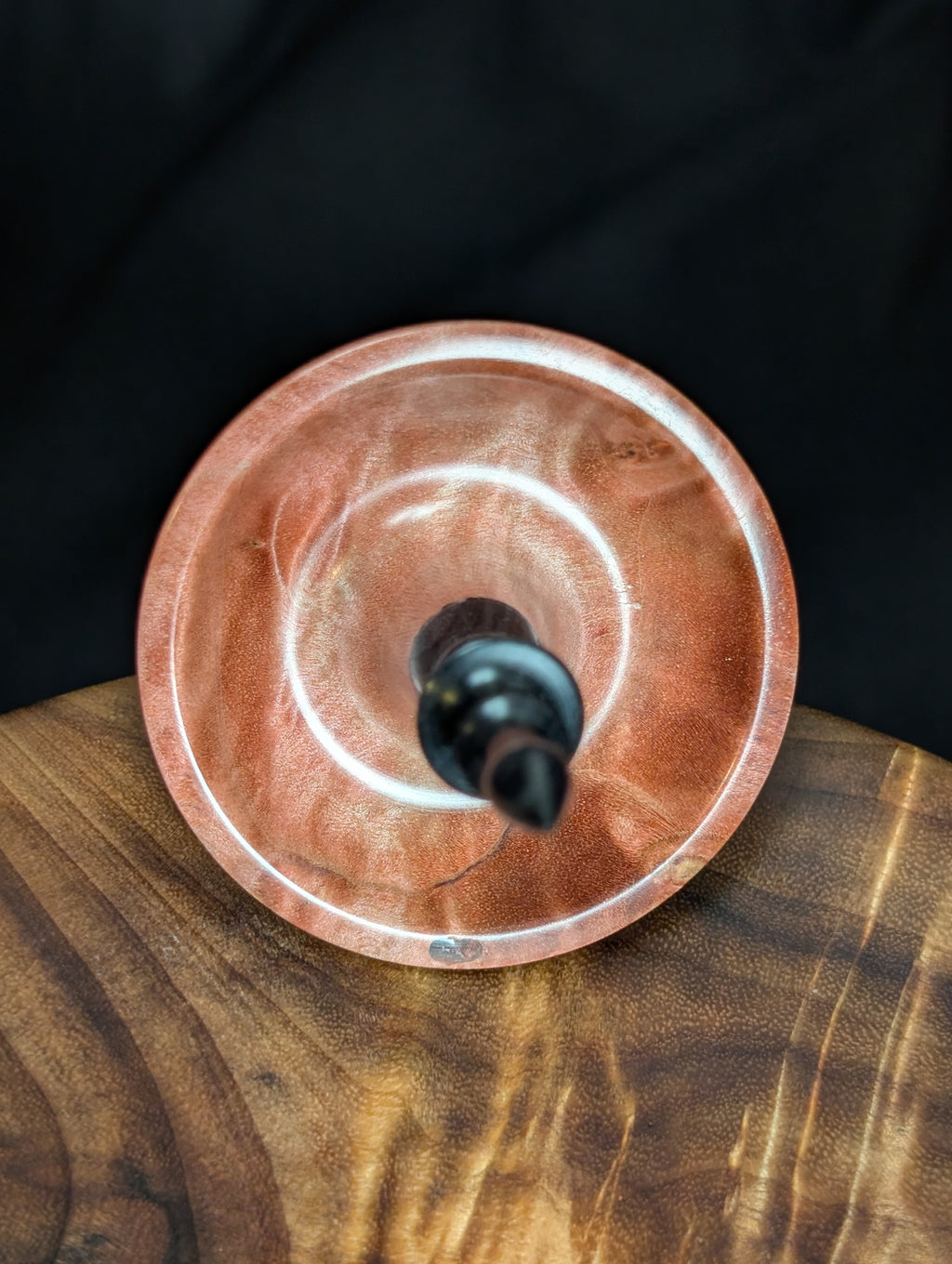 Fiddleback Maple Burl Tibetan Support Spindle