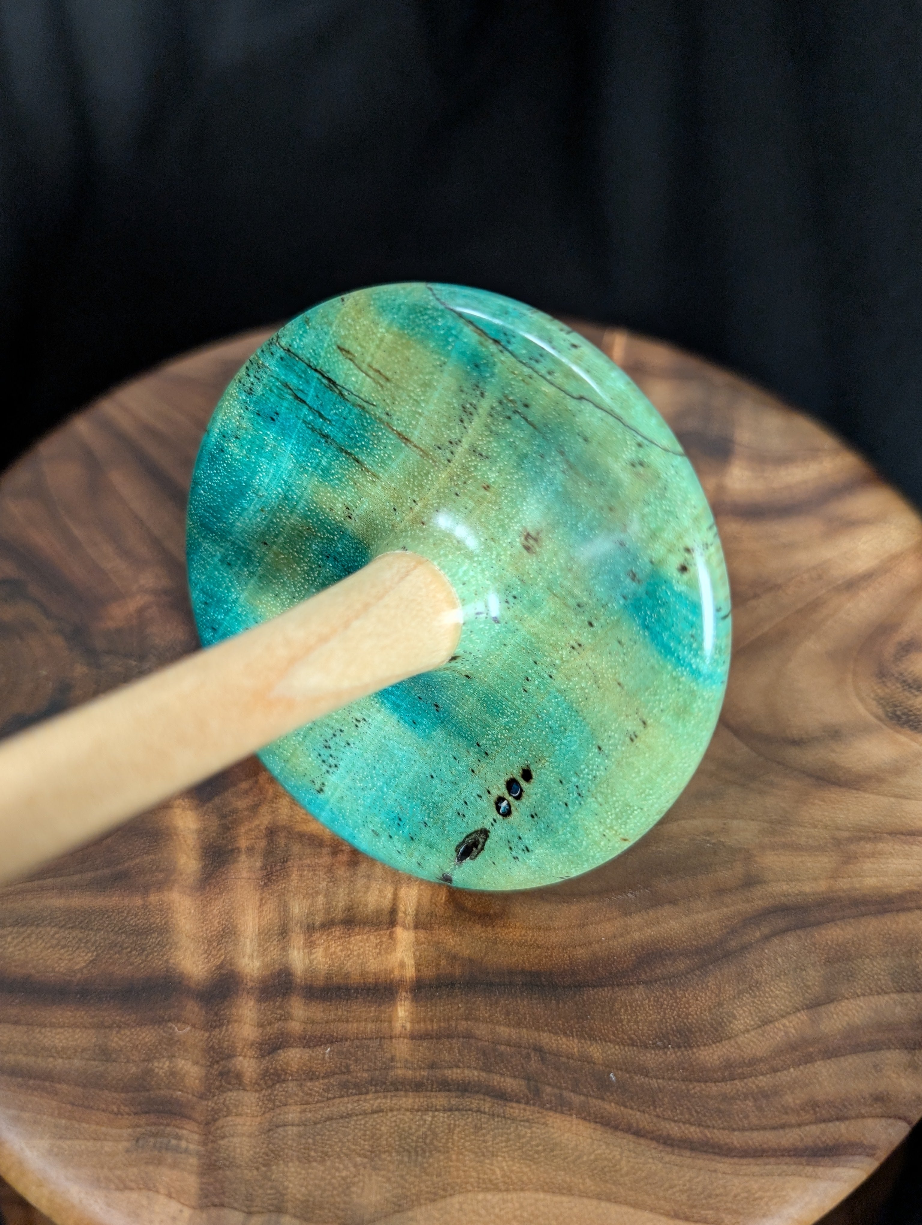 Spalted Tamarind - Blue Bottom Whorl Drop Spindle