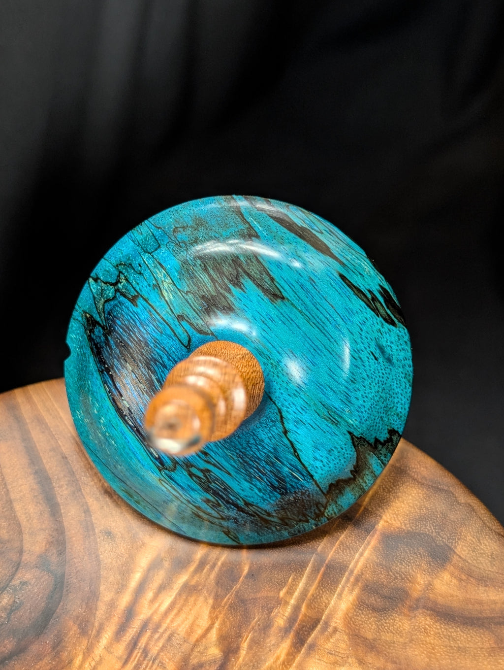 Spalted Tamarind -Blue- Top Whorl Drop Spindle