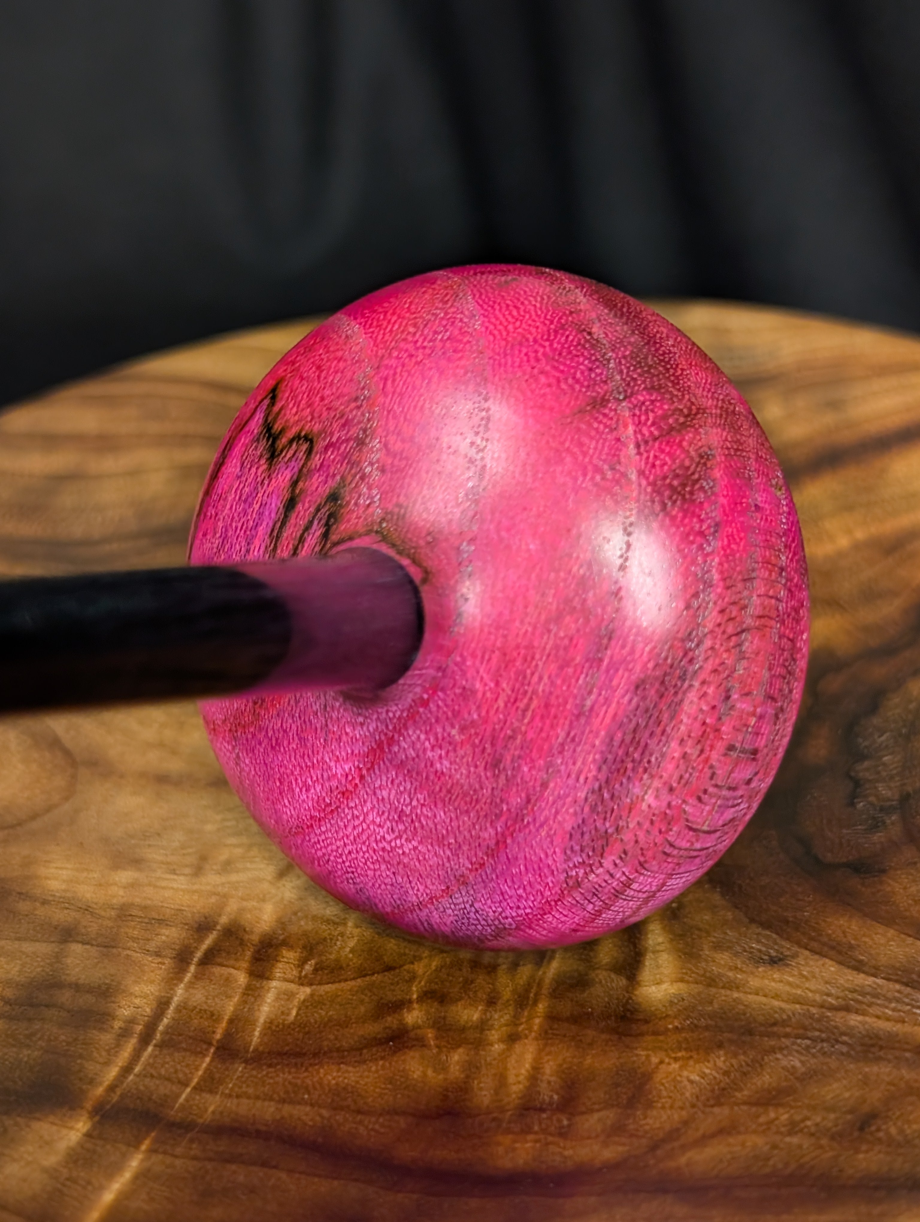 Unknown Species -Possibly Elm- Tibetan Support Spindle