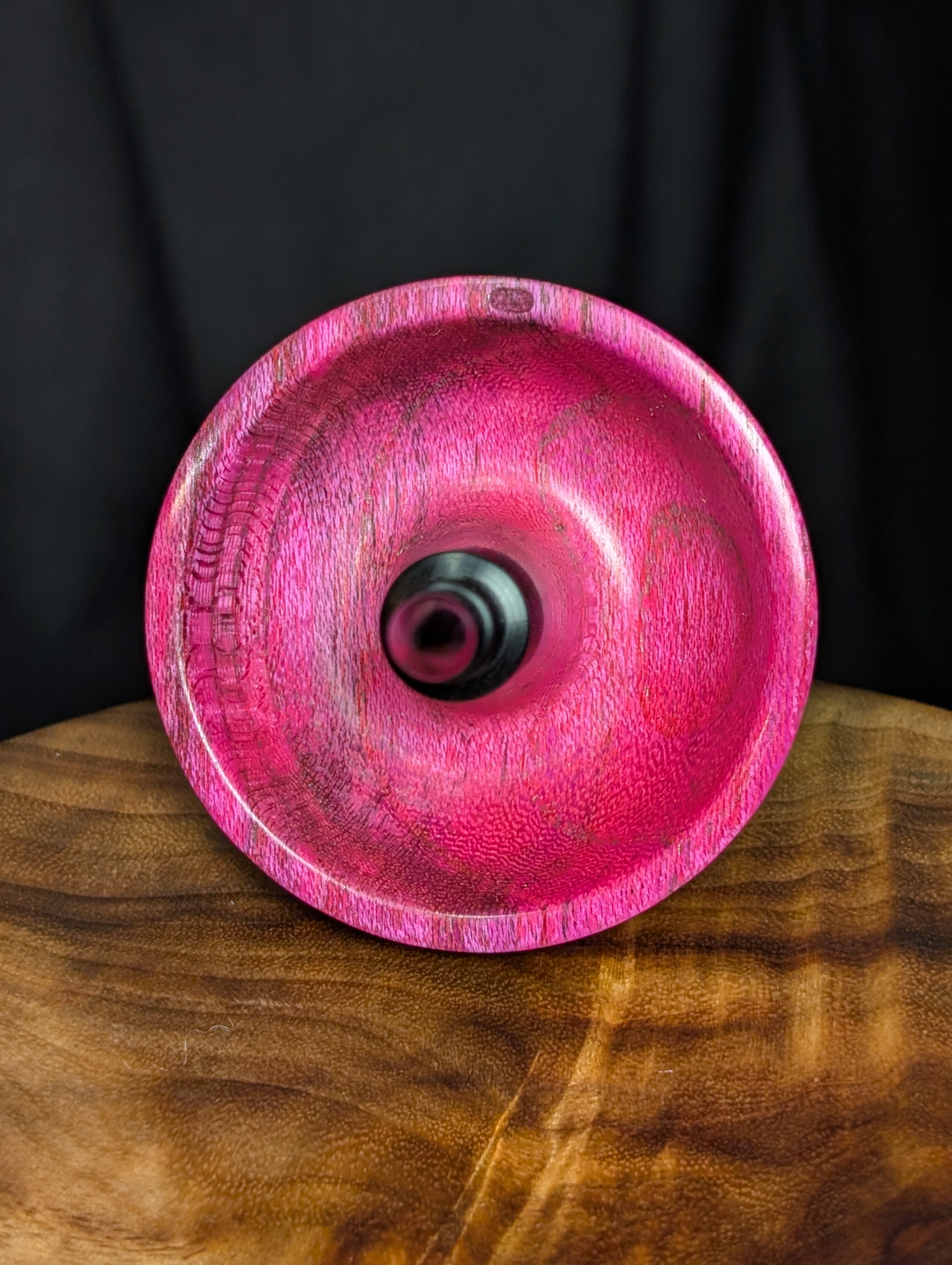 Unknown Species -Possibly Elm- Tibetan Support Spindle