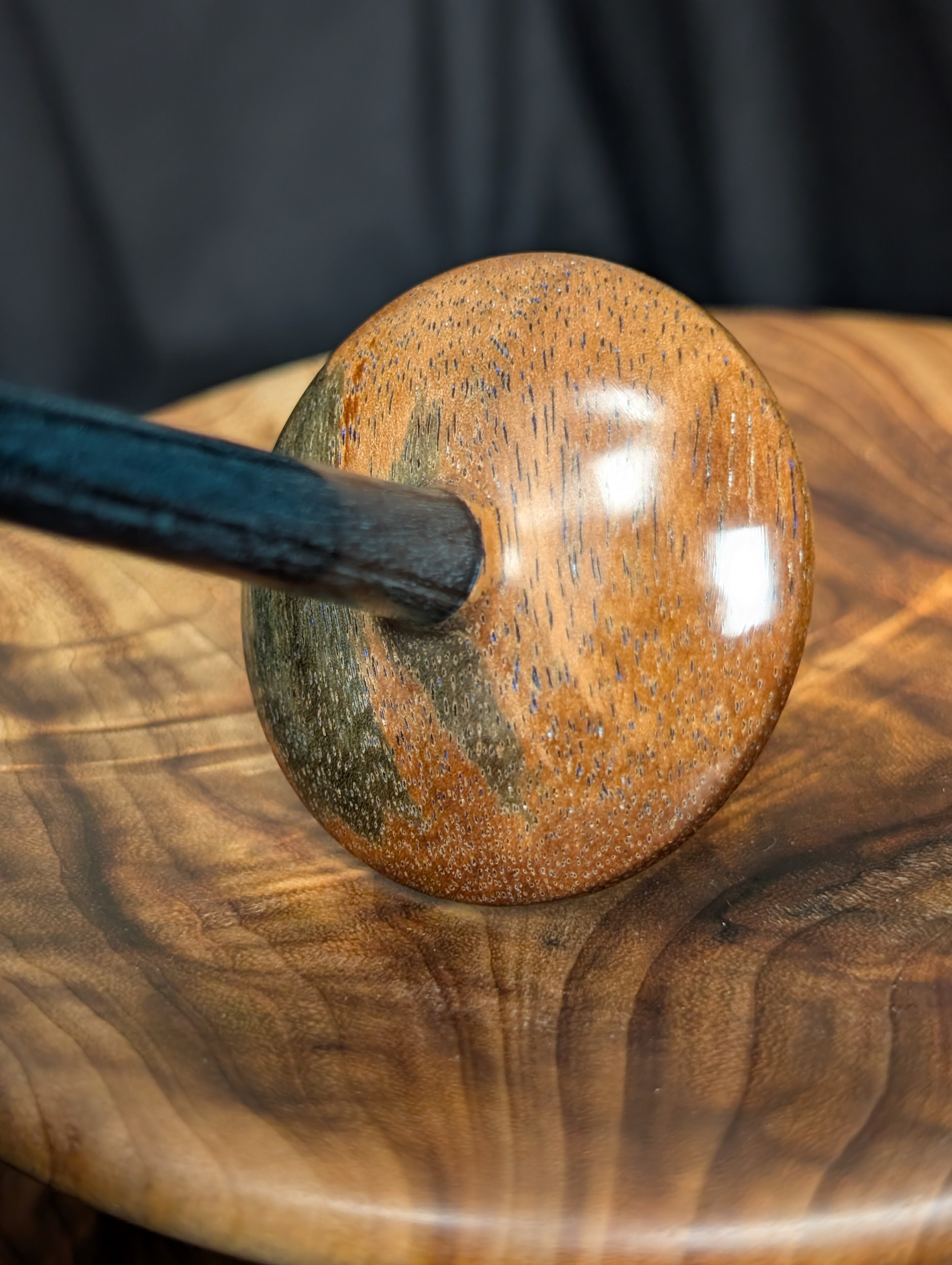 Unknown Species Tibetan Support Spindle