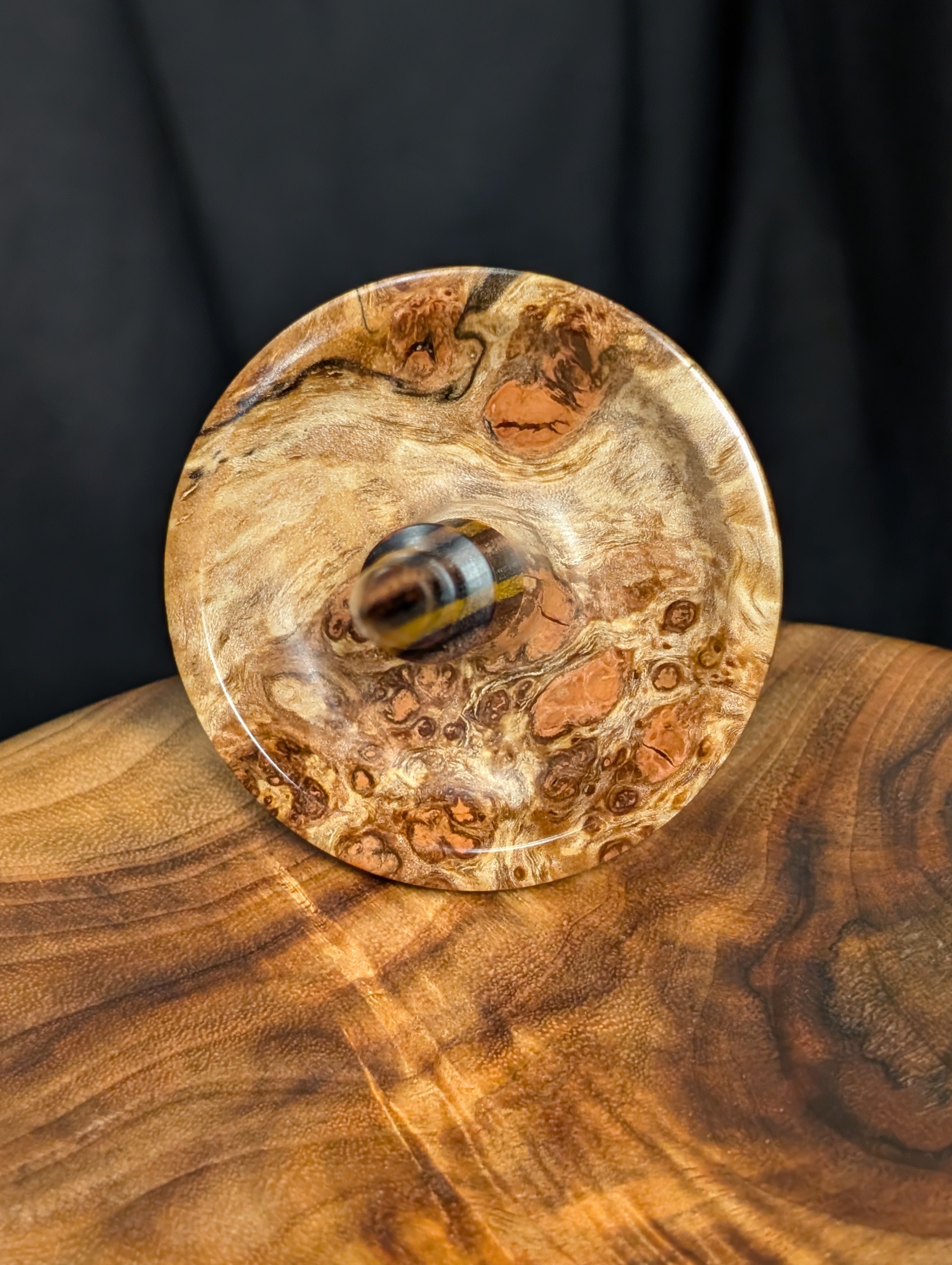 Sugar Maple Burl Tibetan Support Spindle