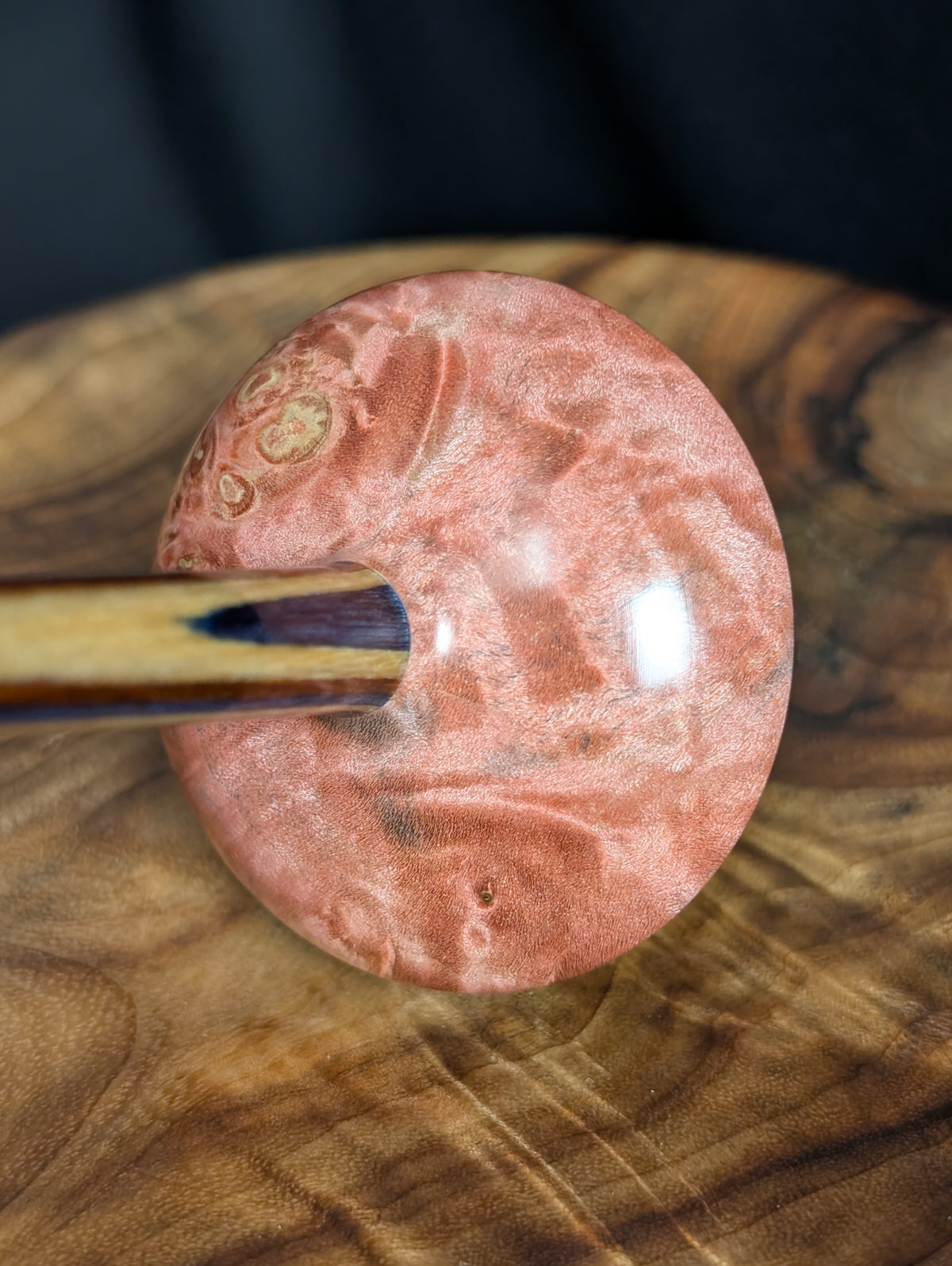 Fiddleback Maple Burl Tibetan Support Spindle