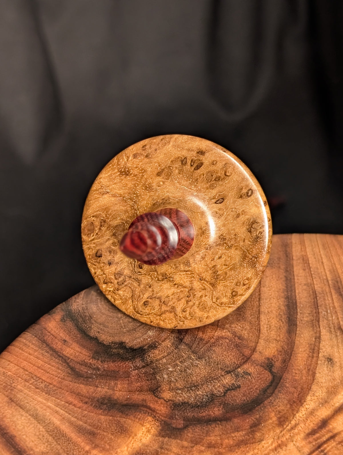 10" Teak Burl Bead Support Spindle