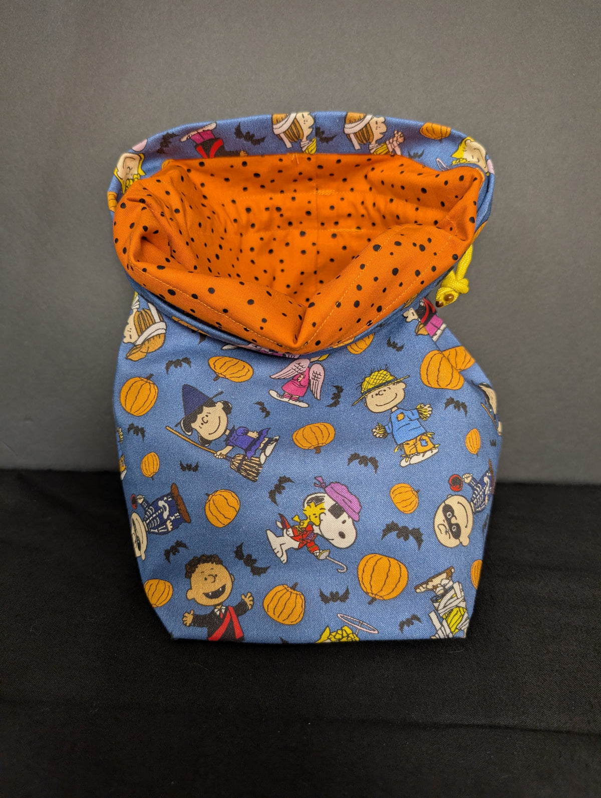 Project bag #2