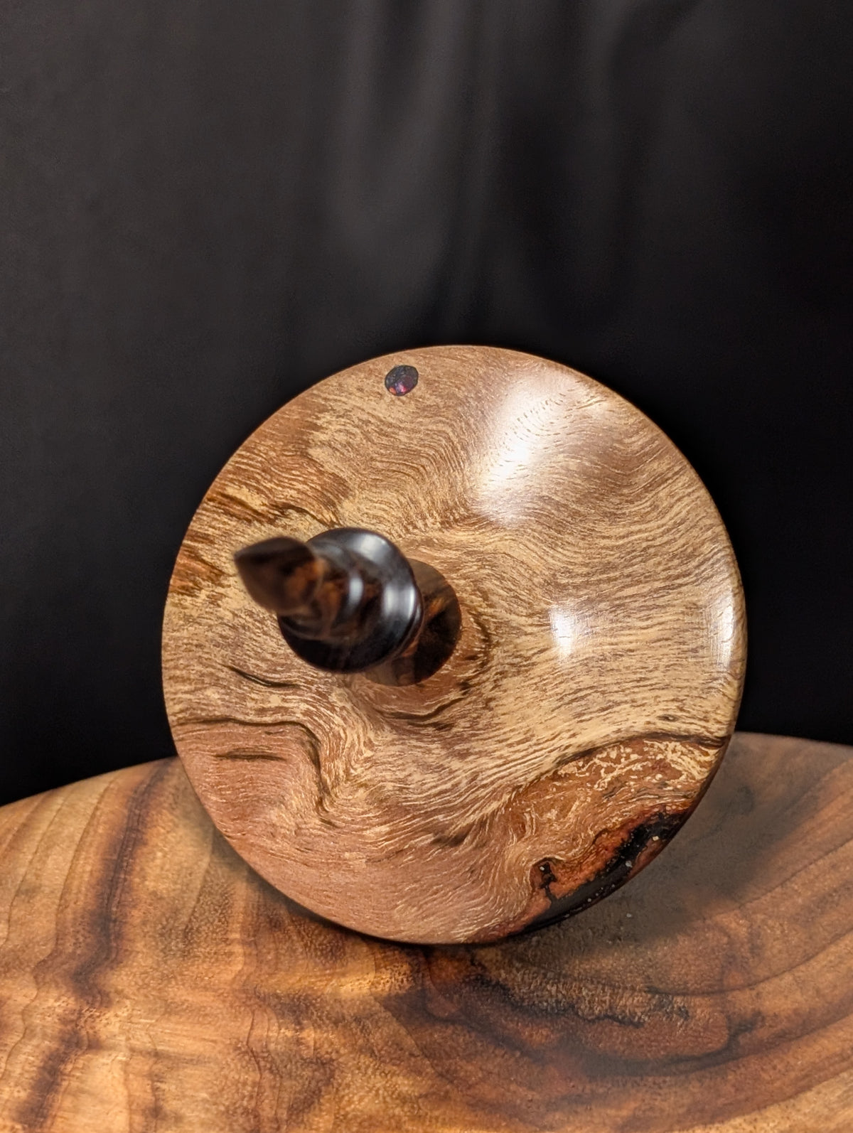 Water Oak Burl "Funnel" Support Spindle